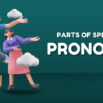 What is Pronoun?