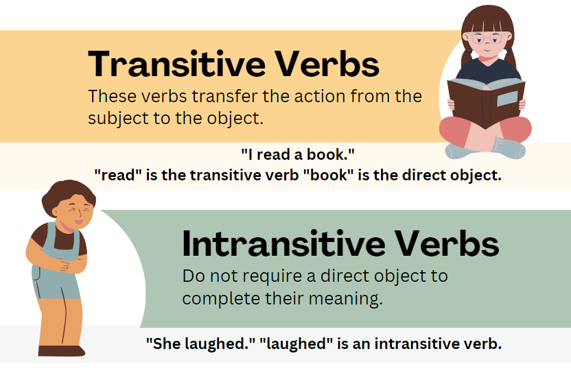 Transitive and intransitive verbs